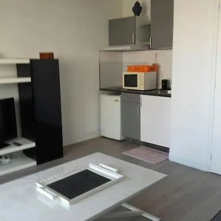 Apartment Tres Joli Studio,bien Equipe Terrasse,internet